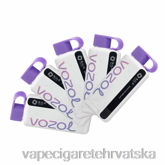 Vape Cigarete [5-pack] Vozol Star 9000 Disposable